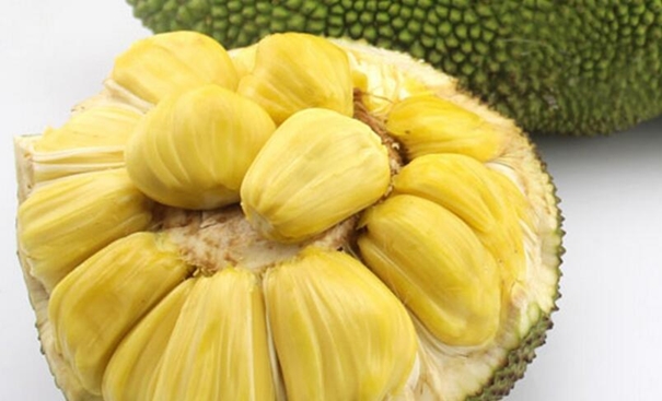 越南菠萝蜜进口报关一般贸易进口