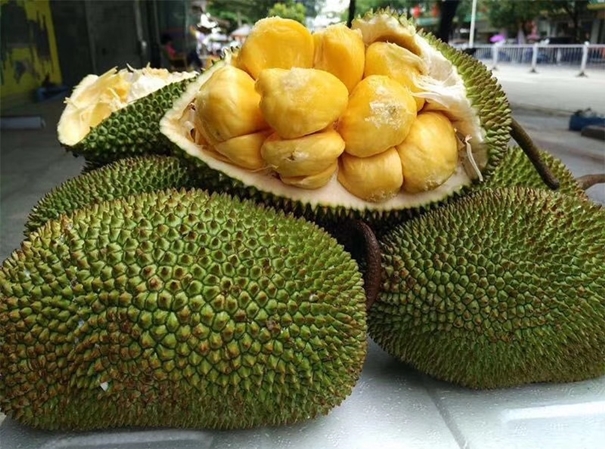 泰国菠萝蜜进口报关税率是多少?