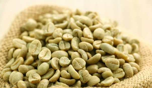 进口生咖啡豆清关相关知识讲解，你需要了解这些
