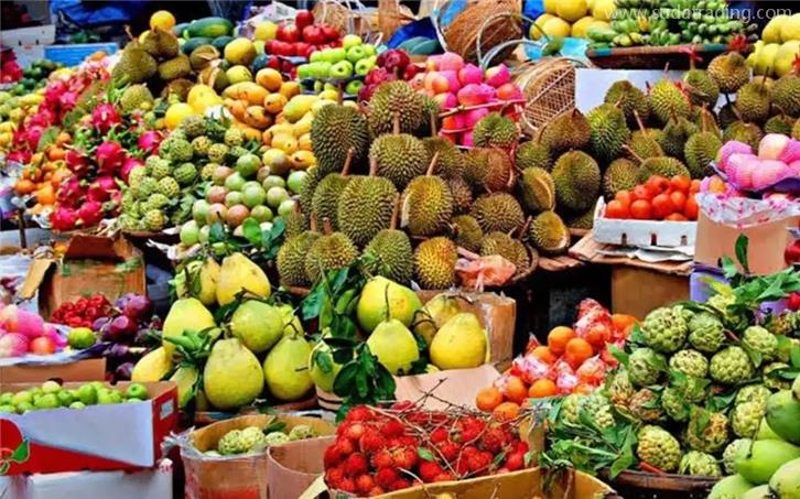 泰国水果报关费用怎么算的?不妨看这里了解