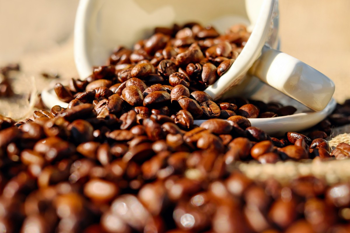 咖啡豆进口报关小插曲，一般贸易进口案例分享