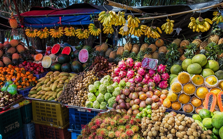 泰国水果进口清关一站式所需了解的流程以及关税