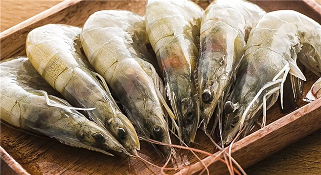 厄瓜多尔白虾进口报关，鲜活白虾进口注意事项