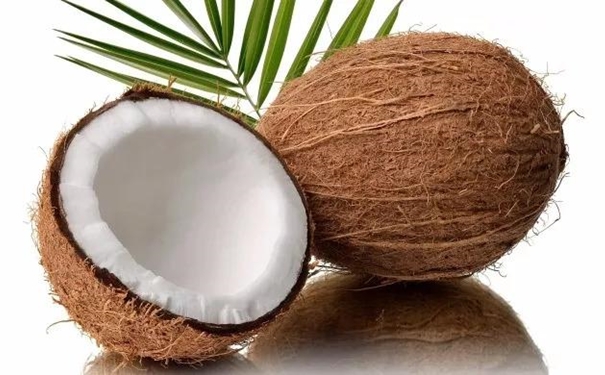 从泰国进口椰子清关到国内的所需提供的资料