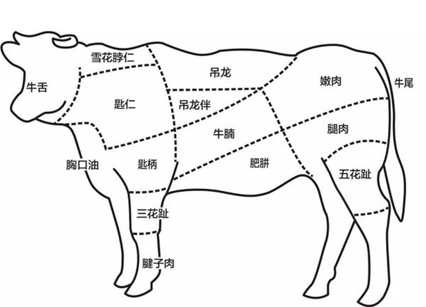 冷冻牛肉进口报关需注意的操作细节
