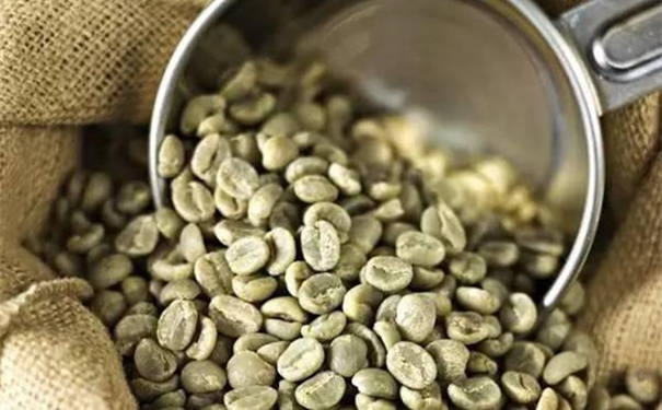 生咖啡豆进口报关代理的流程是怎样的