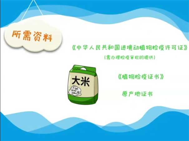 海关总署：解读│进口食品报关指南