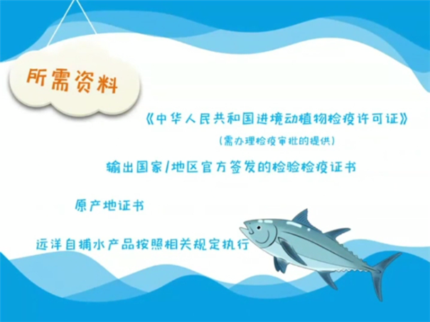 海关总署：解读│进口食品报关指南