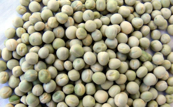 干豌豆进口清关的流程以及资质