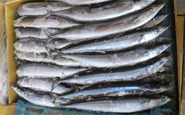 日本冷冻秋刀鱼进口清关注意事项有哪些?