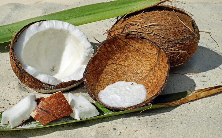 印尼/泰国椰子进口报关需要的单证资料以及流程手续