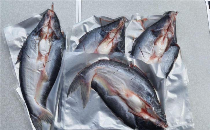 越南巴沙鱼进口清关流程以及清关时间