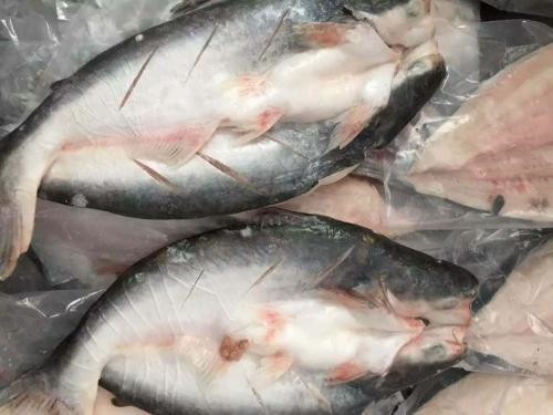 越南巴沙鱼进口报关代理流程手续以及费用