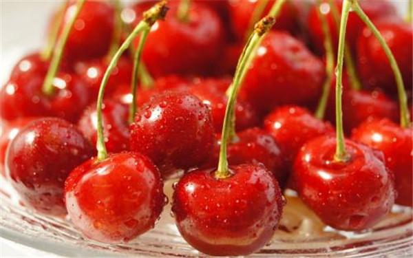 澳洲水果进口报关动植物检疫许可证办理流程