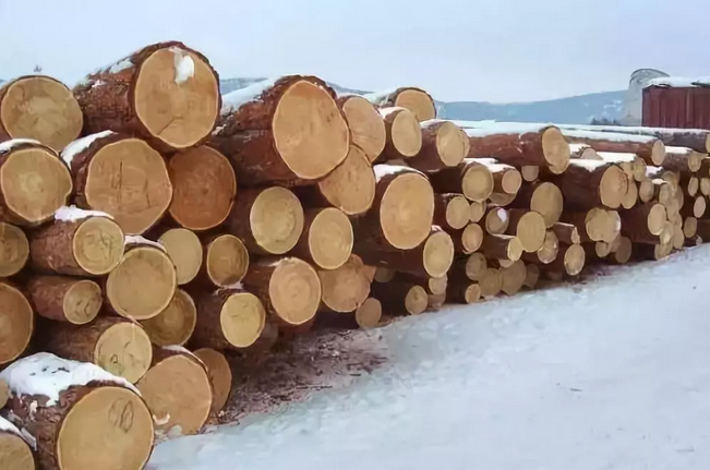 俄或临时暂停对华木材出口，为了加快国内森林恢复