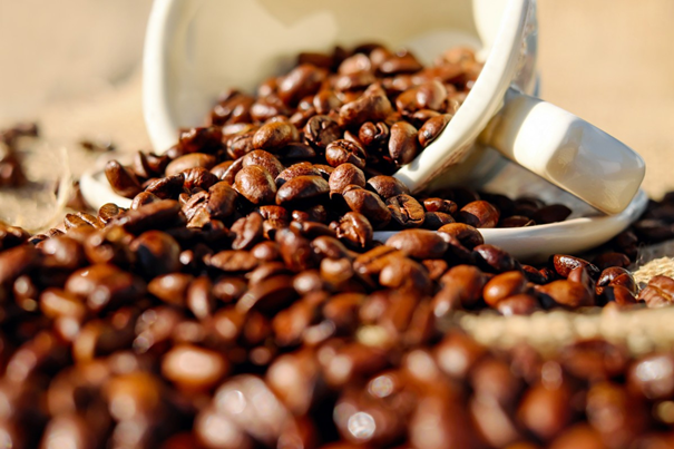 越南咖啡豆进口报关17年经验报关公司