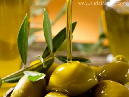 东莞食品进口清关之土耳其橄榄油进口报关流程