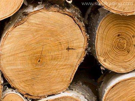 木材进口报关基本流程与所需时间概述