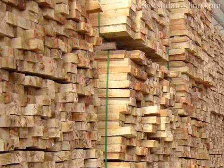 常见木材进口报关流程与时间讲解