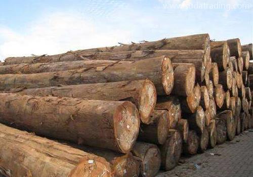 木材进口报关流程与所需时间详解
