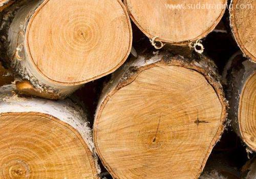 常见的各类木材进口清关单证有哪些？