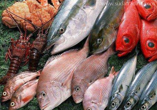 国外海鲜食品进口报关前期准备与清关期限