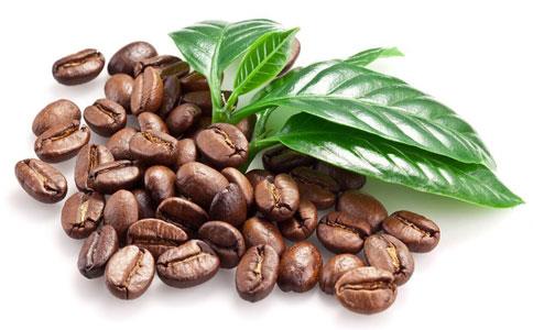 澳洲咖啡豆进口清关流程一站式操作代理