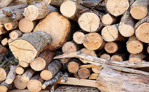 13年丰富经验的广州木材进口清关公司