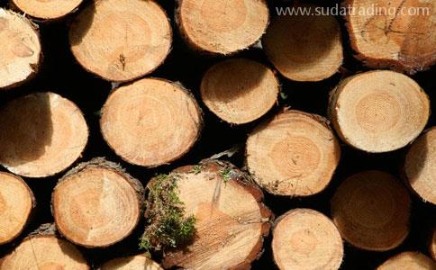 [客户总结]木材进口报关注意事项