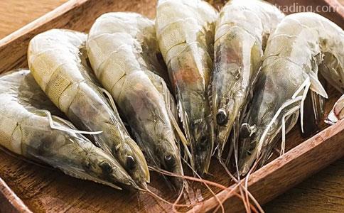 厄瓜多尔白虾如何进口报关|水产品进口报关公司
