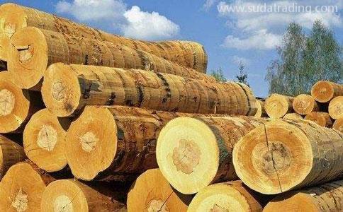 木材进口清关公司|木材进口报关[最新]注意事项