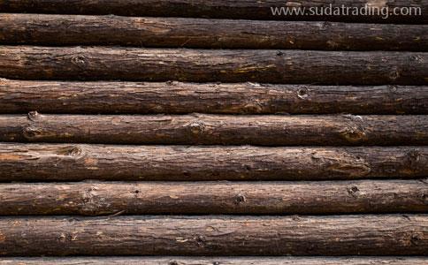 木材进口清关公司|代理进口木材清关公司