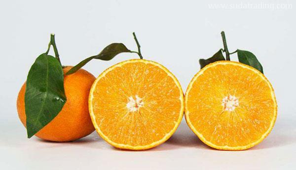 智利柑橘进口报关代理要哪些手续?东莞广东速达为你解答
