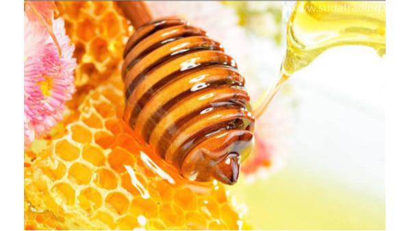 蜂蜜进口报检基本操作流程