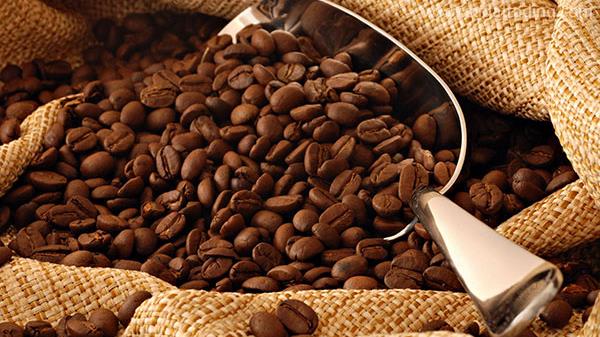 加拿大咖啡豆进口报关手续要怎么做？