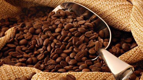 加拿大咖啡豆进口报关手续，东莞咖啡豆进口报关公司详解