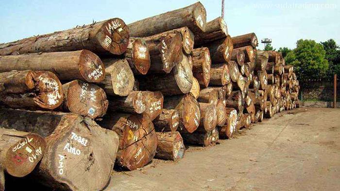 木材进口报关清关手续流程