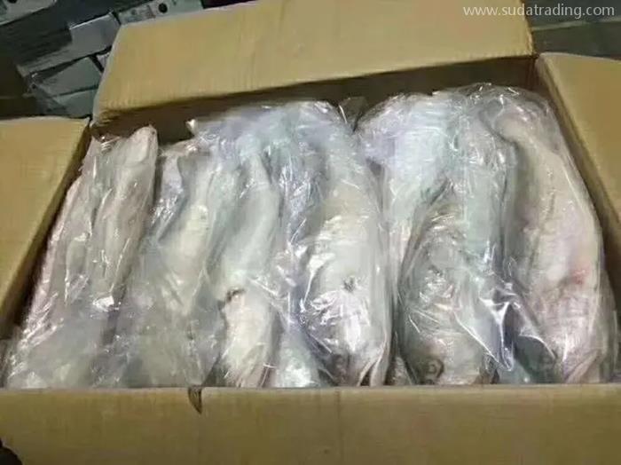 越南巴沙鱼进口清关的流程以及准入问题