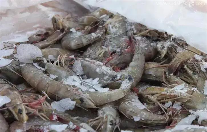 上海冷冻鱼进口报关应该要注意一些什么