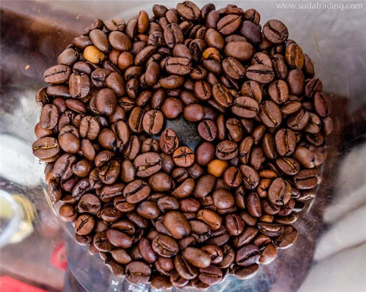 巴西进口咖啡豆清关公司带你了解咖啡豆通关指南