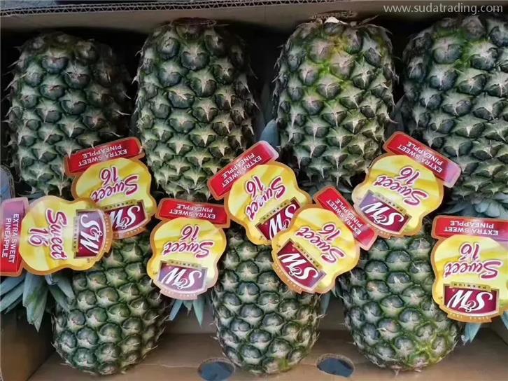 进口菲律宾菠萝报关公司国内收货人要这些资质