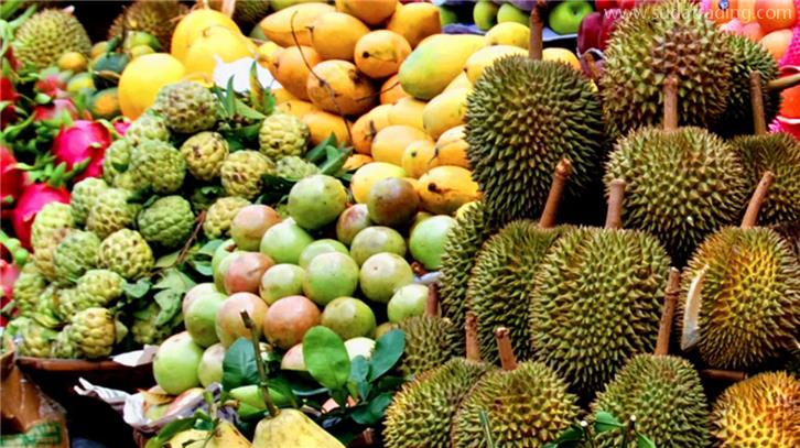 泰国水果进口报关费用是怎样的?