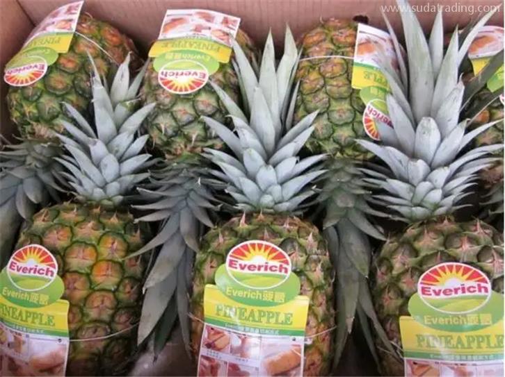 台湾进口菠萝清关要提供的资质有哪些