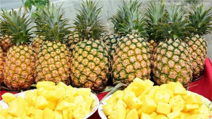 台湾进口菠萝清关要提供的资质有哪些