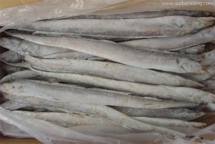 厦门港冷冻鱼报关公司带你了解进口冷冻鱼需要的资质