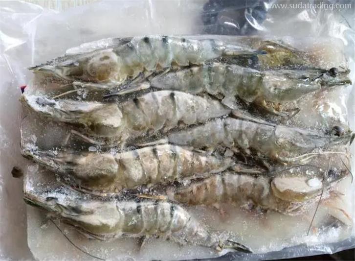 广州机场冷冻虾进口报关要注意哪些事项