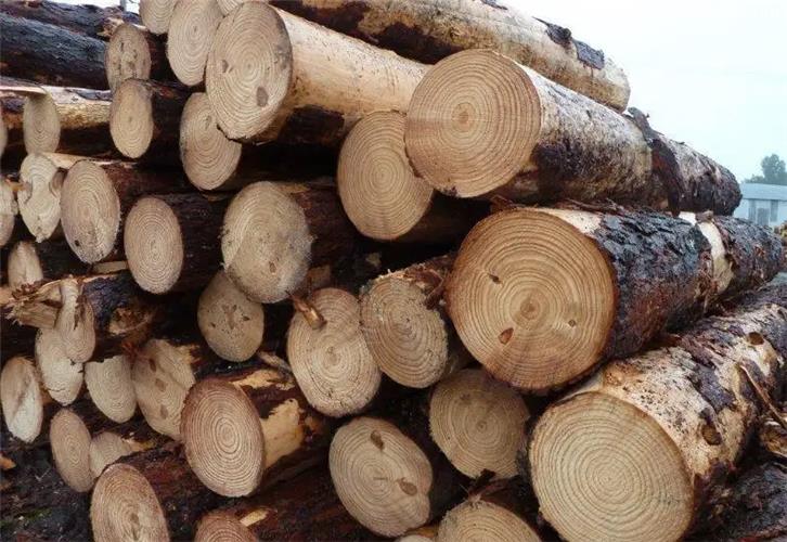 普通木材及濒危木材进口报关所需资料