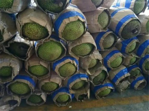 进口越南菠萝蜜清关的申报要素以及资料