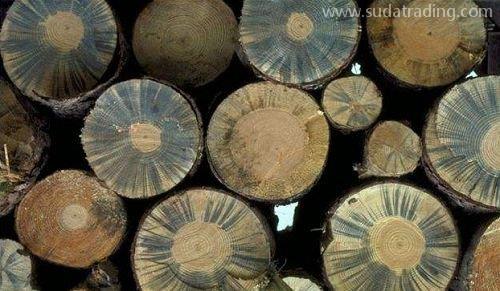 木及木制品合规申报指引