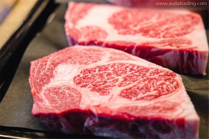 新西兰进口牛肉报关流程手续是怎样的？